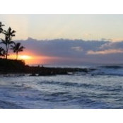 Colette Berg's photo