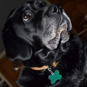 Karen Kinnare's photo