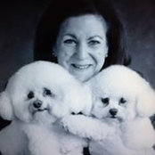 Susan Stoll's photo