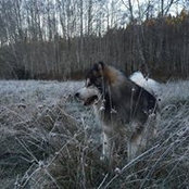 Foto von Mary Rose Drescher