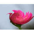 Bepa Studio's profile photo