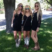 Taylor Albrecht's photo