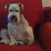 Kendy Kallaher's photo