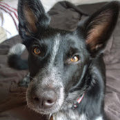 Curtis Van Slyck's photo