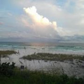 Kurt Haynes's photo