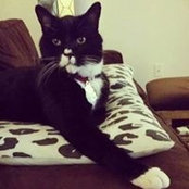 Hilary Dow Ward's photo