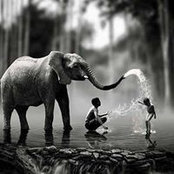 Christina Moser's photo