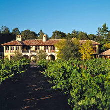 home vineyards