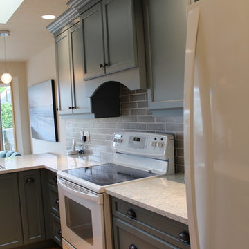 Painted MDF Cabinets/Detailed Shaker