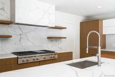 Kitchen - contemporary kitchen idea in Denver