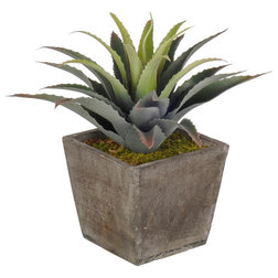Contemporary Artificial Plants And Trees Artificial Star Succulent With Wood Cube