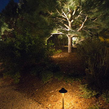 Rustic Pergola Patio - Severence, CO