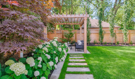 Before and After: 3 Freshened-Up and Flourishing Yards
