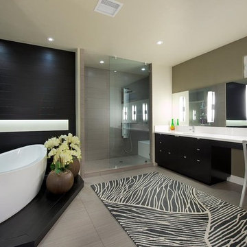 Torrey Hills Remodel
