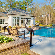 Back Yard/ Pool