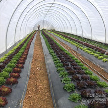 farm