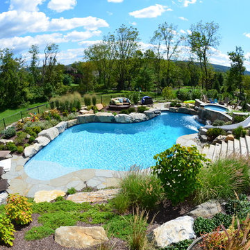 Massive Backyard Renovation
