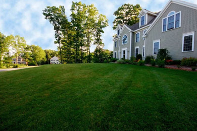 Design ideas for a contemporary landscaping in Other.