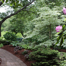 Good Shade Garden Border Ideas