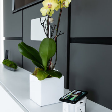 Simple and Sophisticated TV Wall Panel