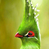 INGRID HARRINGTON's photo
