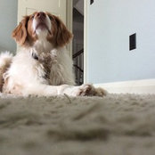 Hailey Tilleczek's photo