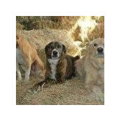 Foto von Connie Slaughter