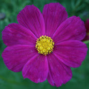 Robert LeClair's photo