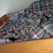 Matt Shearer's photo