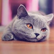 Beatrix Mqc's photo