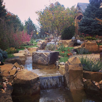 Oasis Amongst the Evergreens