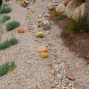 Conscious Stream Scape- Silverlake