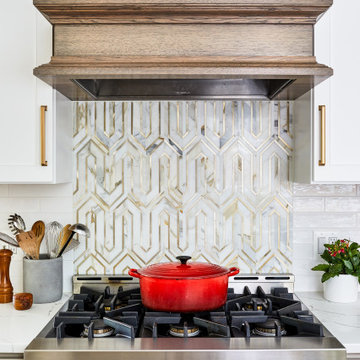 Stylish Kitchen Remodel in Washington, DC