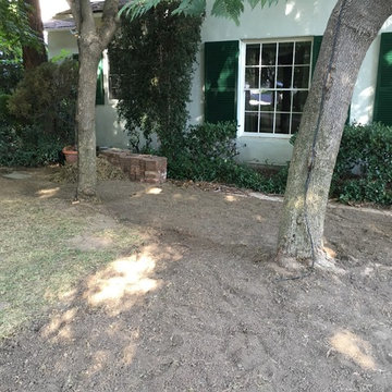 Front Yard Makeover-New Walkway, Less Turf, Awesome CA Friendly Plants