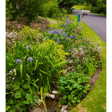 Swales and Rain Gardens