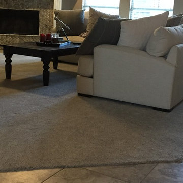 Carpet & Area Rugs