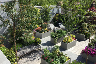 Design ideas for a contemporary garden in London.