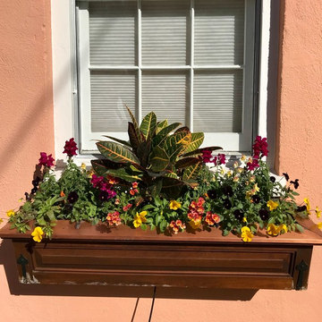Southern Window Boxes
