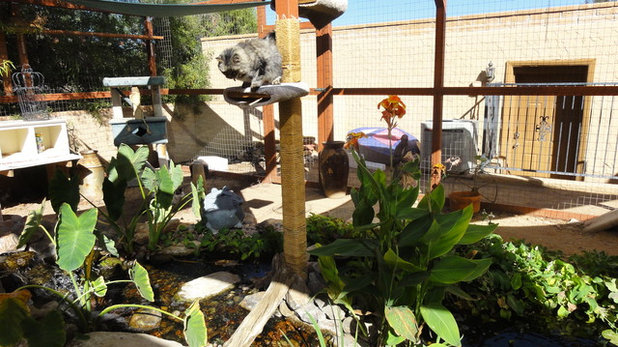 Eclectic Garden Kitty Enclosure