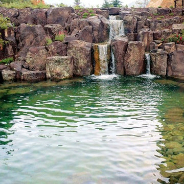 BioNova Natural Swimming Pool - Provo, UT