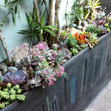 Marina Del Rey Jewelbox