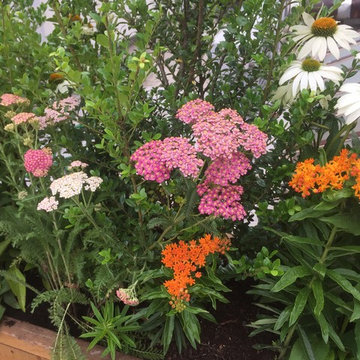 Upper East Side Terrace