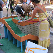 Dog Ramps