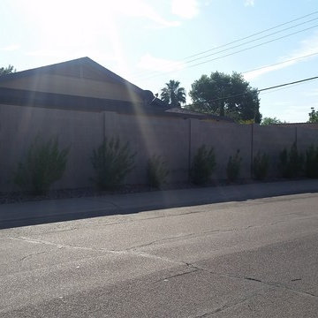 Plantings - 7 months