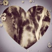 Wendy Jacob's photo