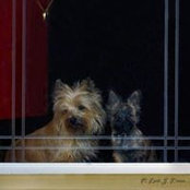 Lori Boones foto
