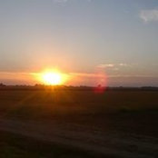 Silke Horn's photo