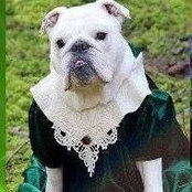 Cherie Vance's photo