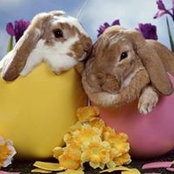Ernesta Smith's photo