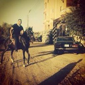Ahmed Elsayed's photo